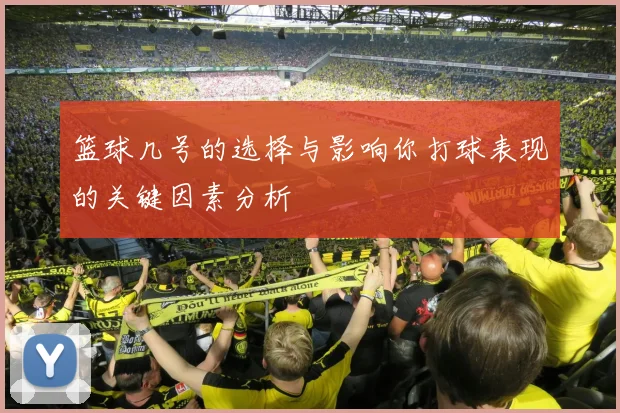 篮球几号的选择与影响你打球表现的关键因素分析